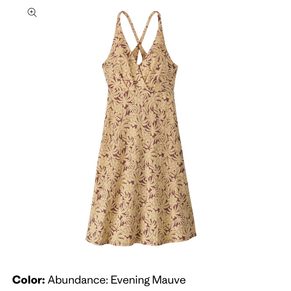 Patagonia Dress